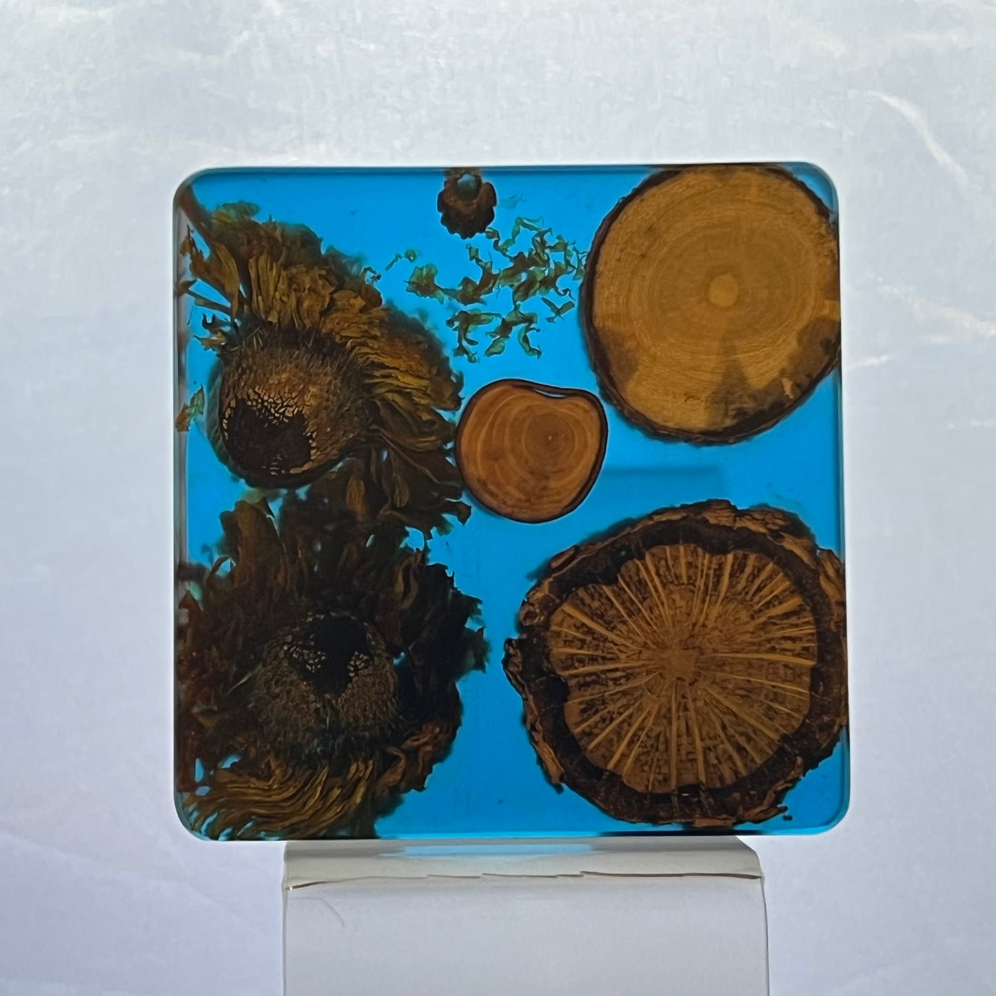 One of a kind Coasters