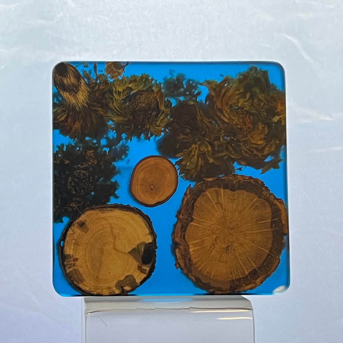 One of a kind Coasters