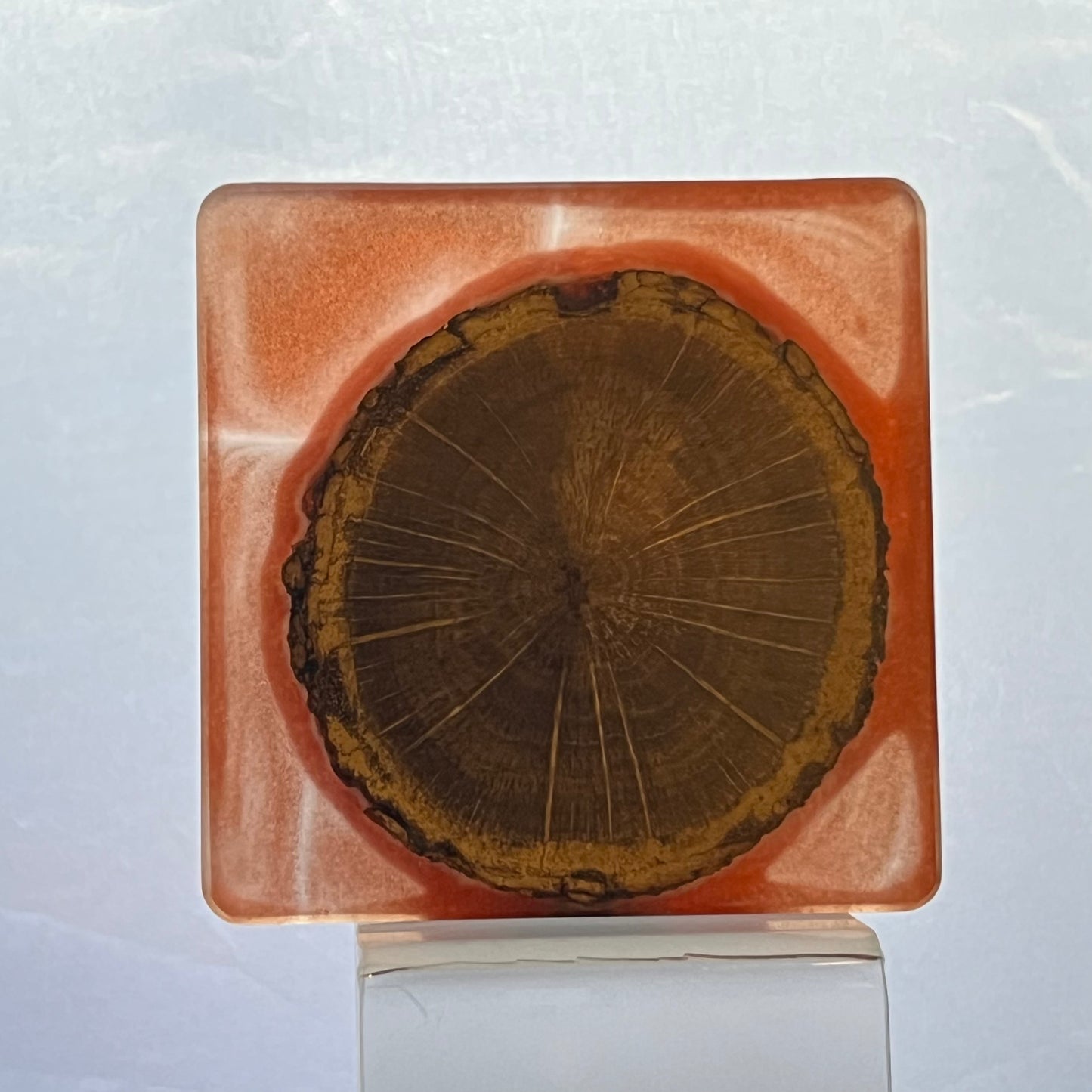 One of a kind Coasters